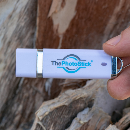 The Photo Stick